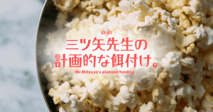 三ツ矢先生Final